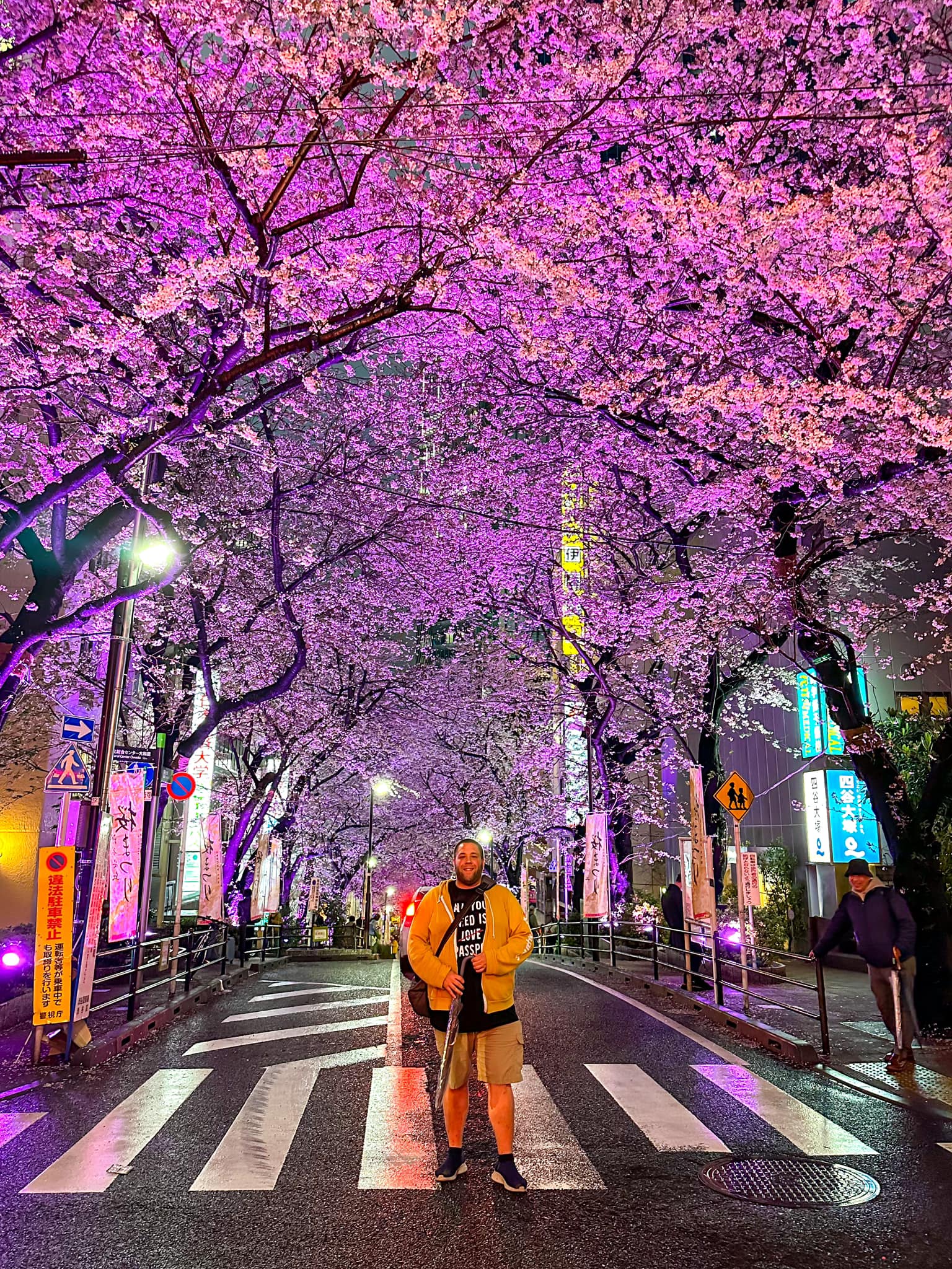 Where To See Cherry Blossoms in Tokyo