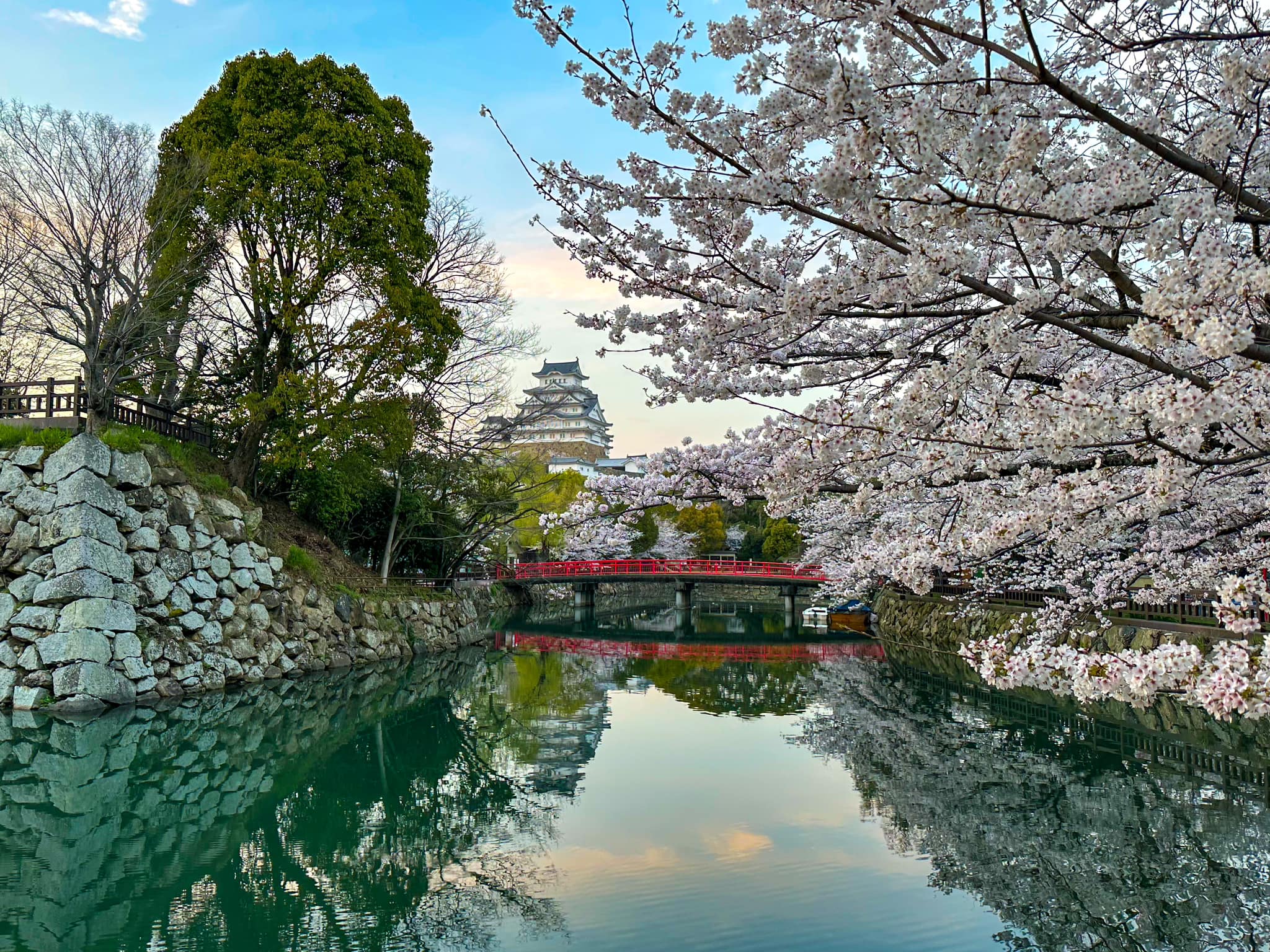 Hiroshima to Himeji – Best Spot for Cherry Blossoms!